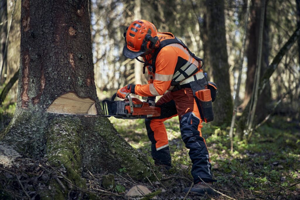 Timbershop