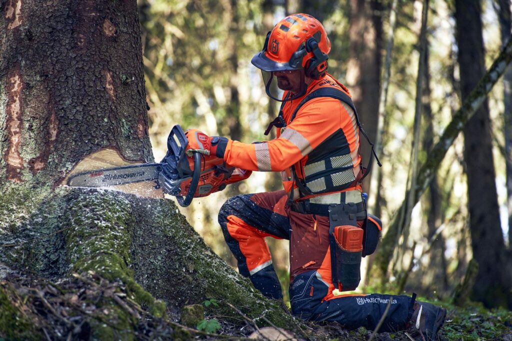 Timbershop