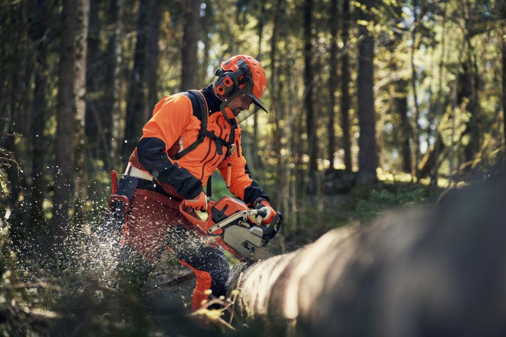 Timbershop