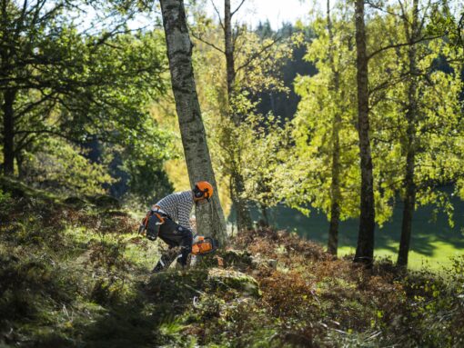 HUSQVARNA 450S Kettensaege