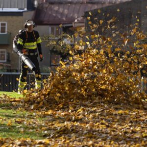 HUSQVARNA 590BTS Laubblaeser