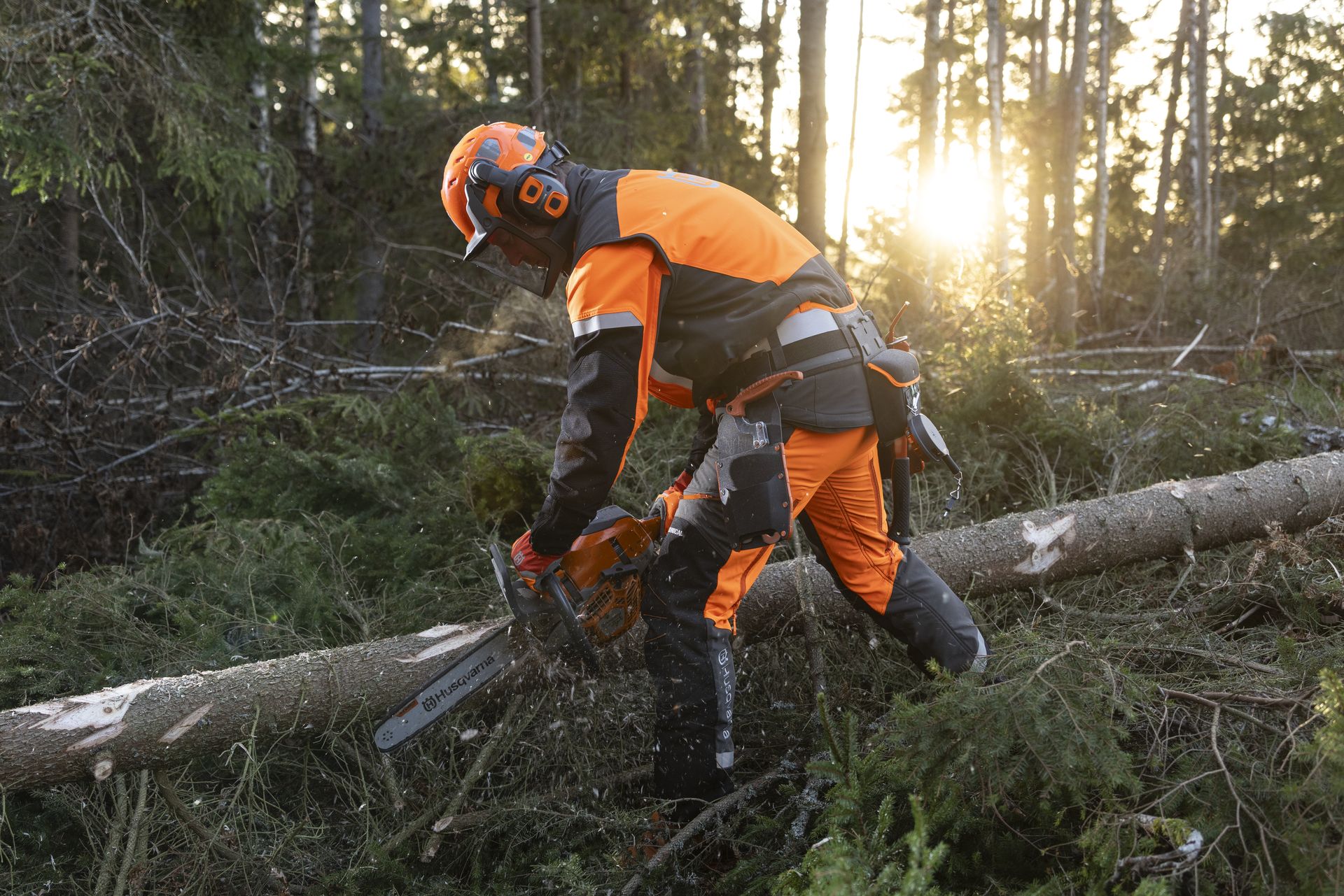HUSQVARNA Gilet forestier Technical