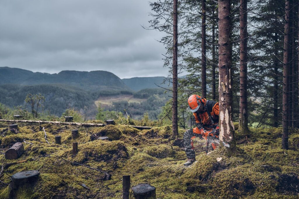 Timbershop