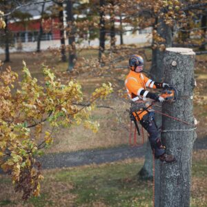 HUSQVARNA_550i_XP_Akku-Kettensaege