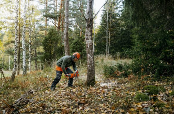 Husqvarna_340i_Akku-Kettensaege