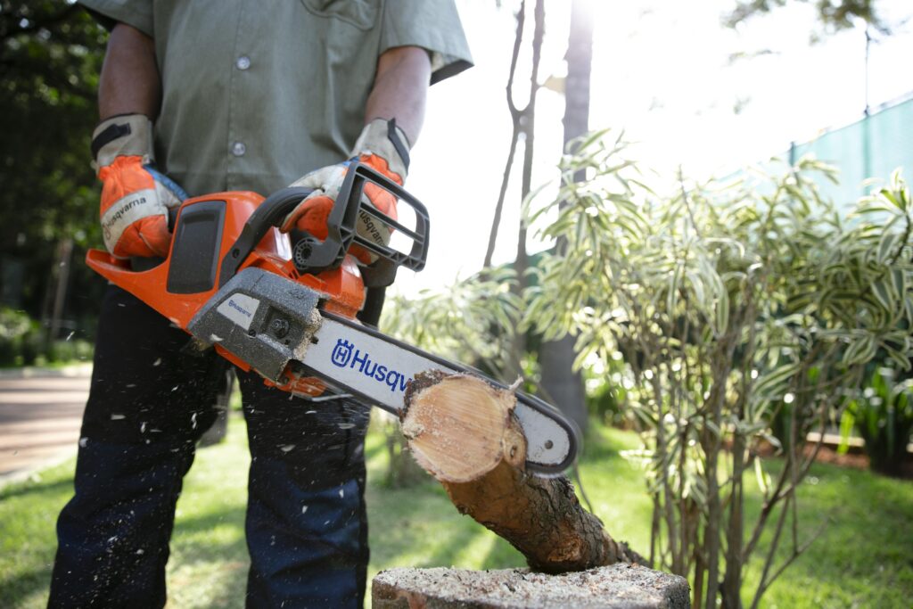 Timbershop