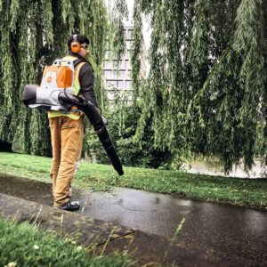 STIHL BRA 200 Akku-Laubbläser