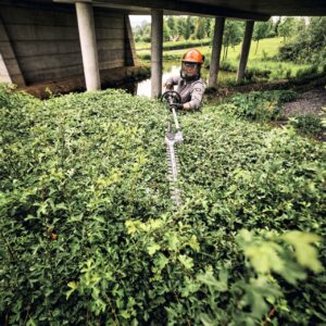 Taille-haie sur perche à batterie STIHL HLA 140 B