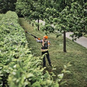 STIHL HLA 150 B Taille-haie sur perche à batterie