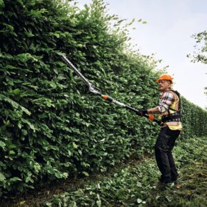 STIHL HLA 150 B Taille-haie sur perche à batterie