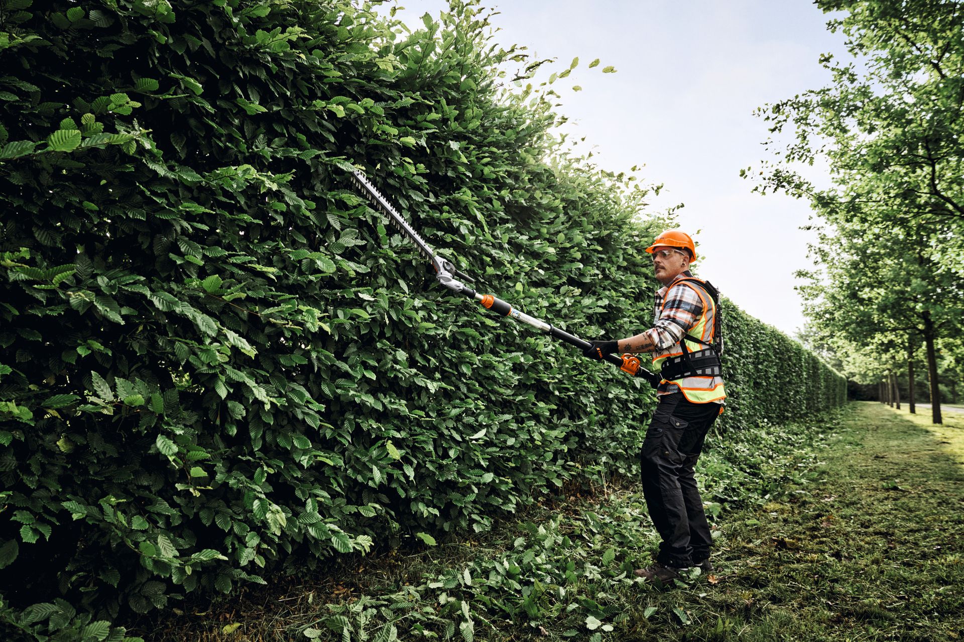 STIHL HLA 150 B Taille-haie sur perche à batterie