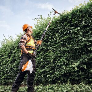 STIHL HLA 150 B Taille-haie sur perche à batterie