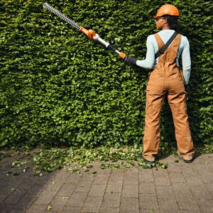 Taille-haie sur perche à batterie STIHL HLA 40