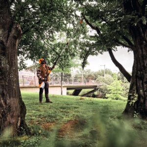 STIHL HTA 140 B Akku-Hochentaster