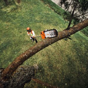 STIHL HTA 160 B Akku-Hochentaster