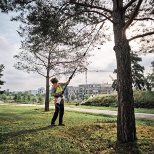 STIHL HTA 160 B Akku-Hochentaster