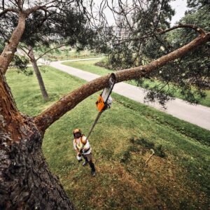 STIHL HTA 160 B Akku-Hochentaster