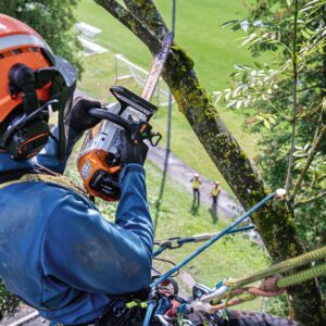 STIHL MSA 240 TC-O tronçonneuse à batterie