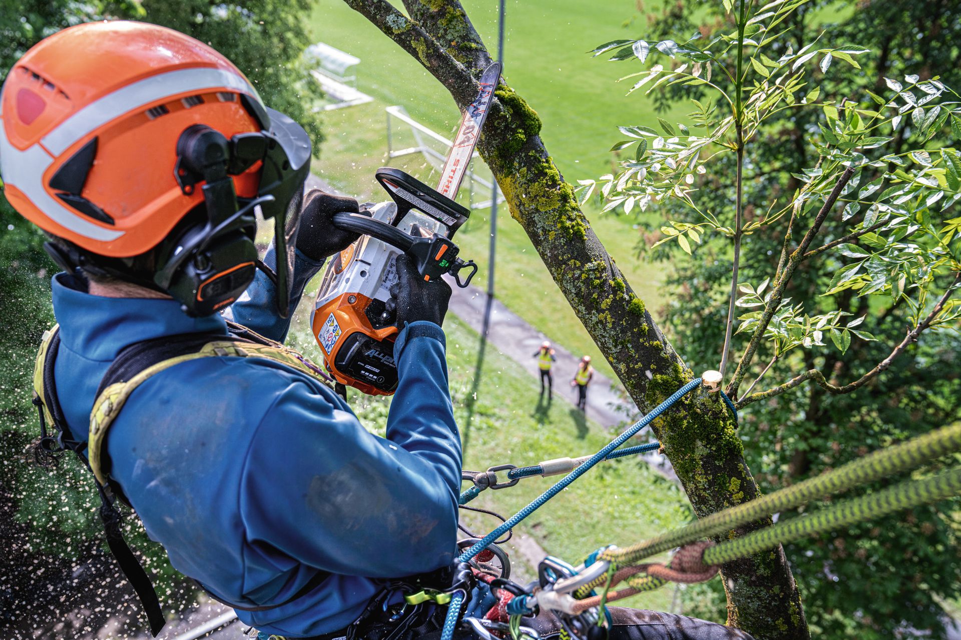 STIHL MSA 240 TC-O tronçonneuse à batterie