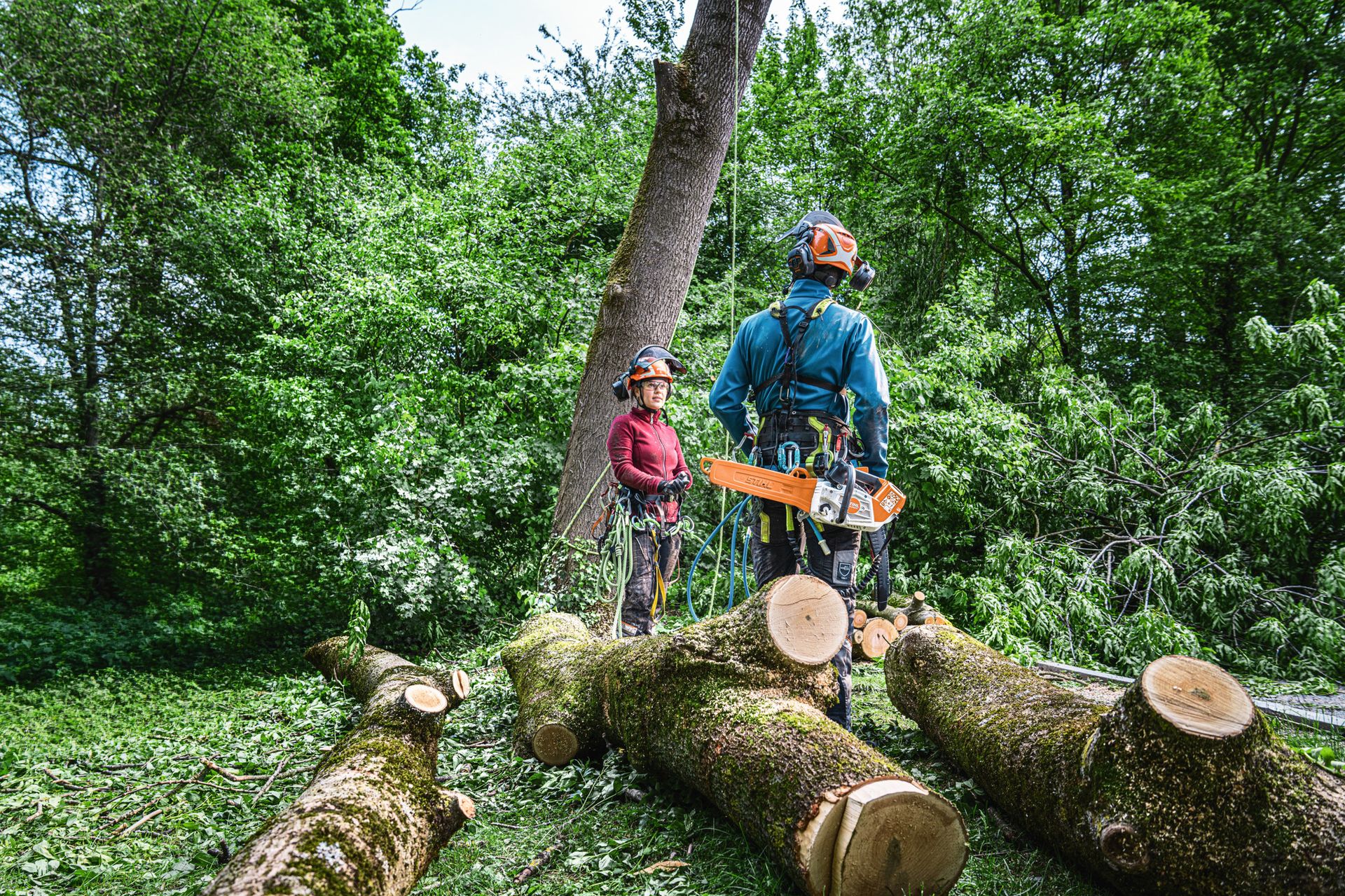 STIHL MSA 240 TC-O tronçonneuse à batterie