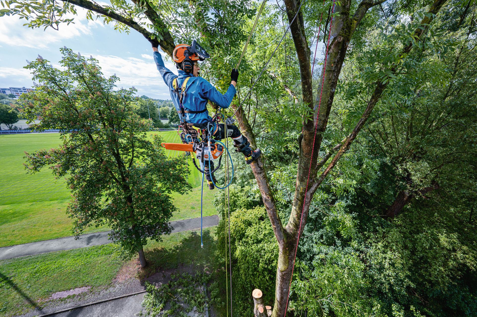 STIHL MSA 240 TC-O tronçonneuse à batterie