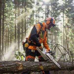 STIHL MSA 260 Akku-Kettensäge