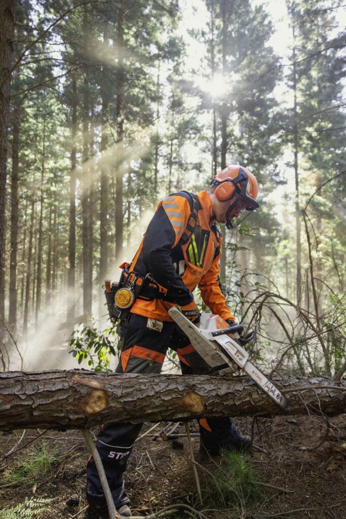 Timbershop