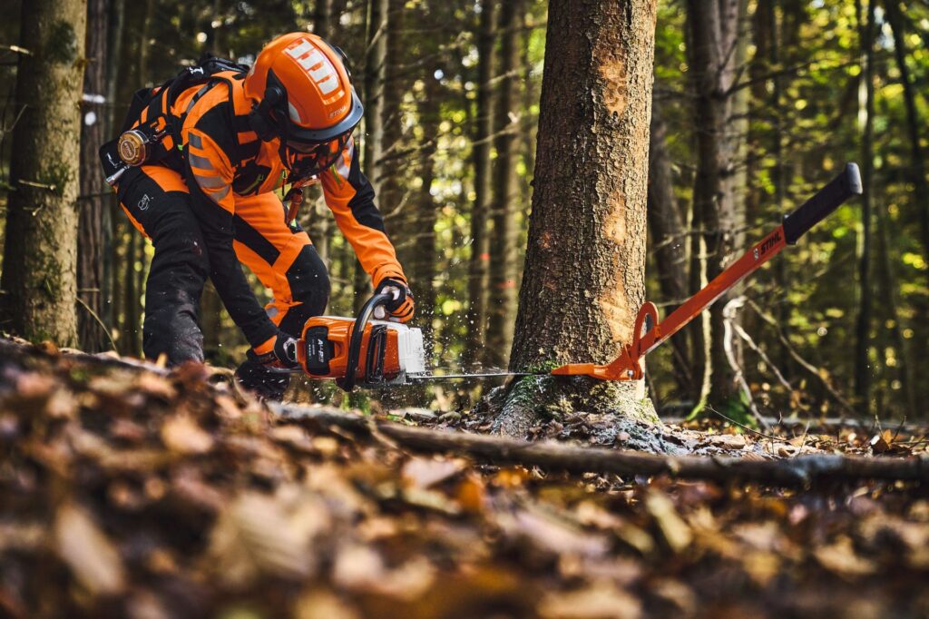 Timbershop