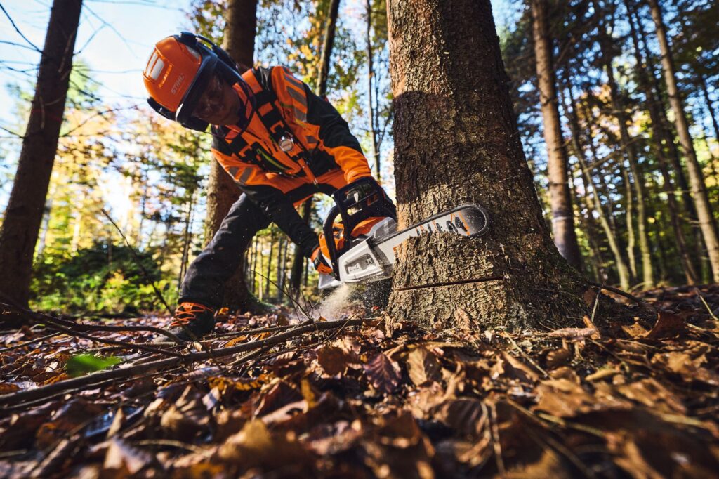 Timbershop