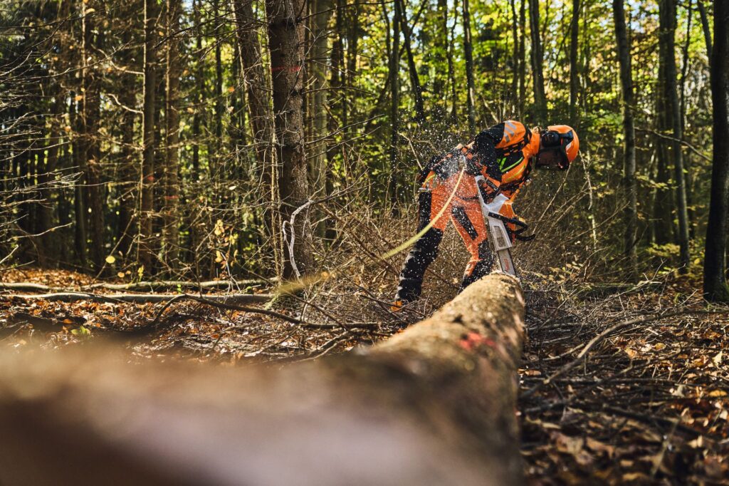 Timbershop