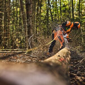 STIHL MSA 260 Akku-Kettensäge