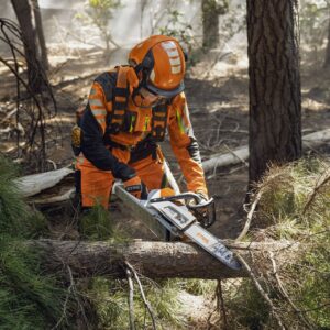 STIHL MSA 260 Akku-Kettensäge