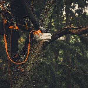 STIHL Longe élagage AP 2-en-1