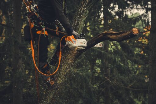 STIHL Longe élagage AP 2-en-1