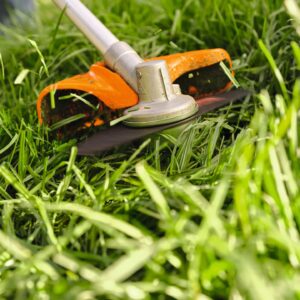 STIHL_FSA_80_Akku-Freischneider