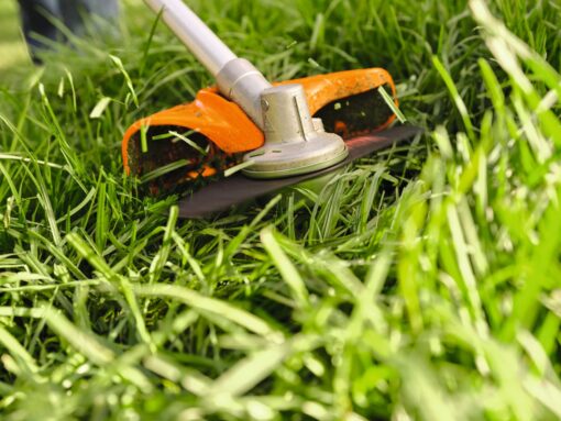 STIHL_FSA_80_Akku-Freischneider