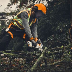 STIHL_GTA_40_Akku-Gehoelzschneider