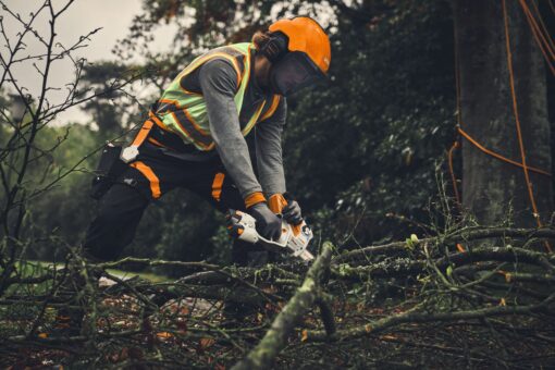 STIHL_GTA_40_Akku-Gehoelzschneider