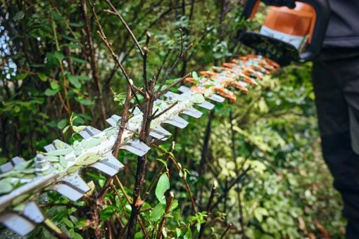 STIHL_HSA_100_Akku-Heckenschere