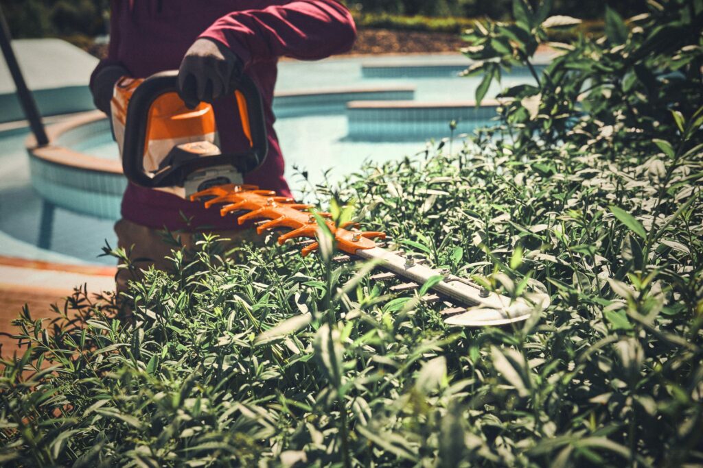 Timbershop