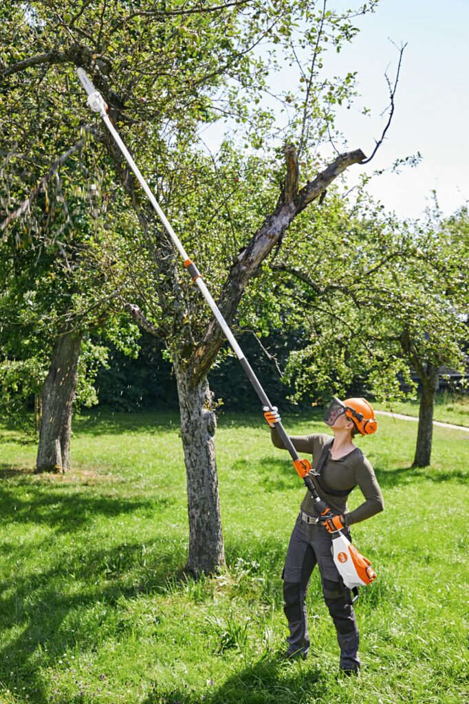 Timbershop