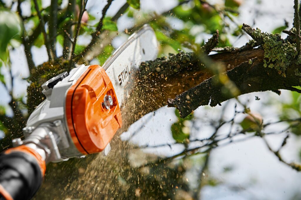Timbershop