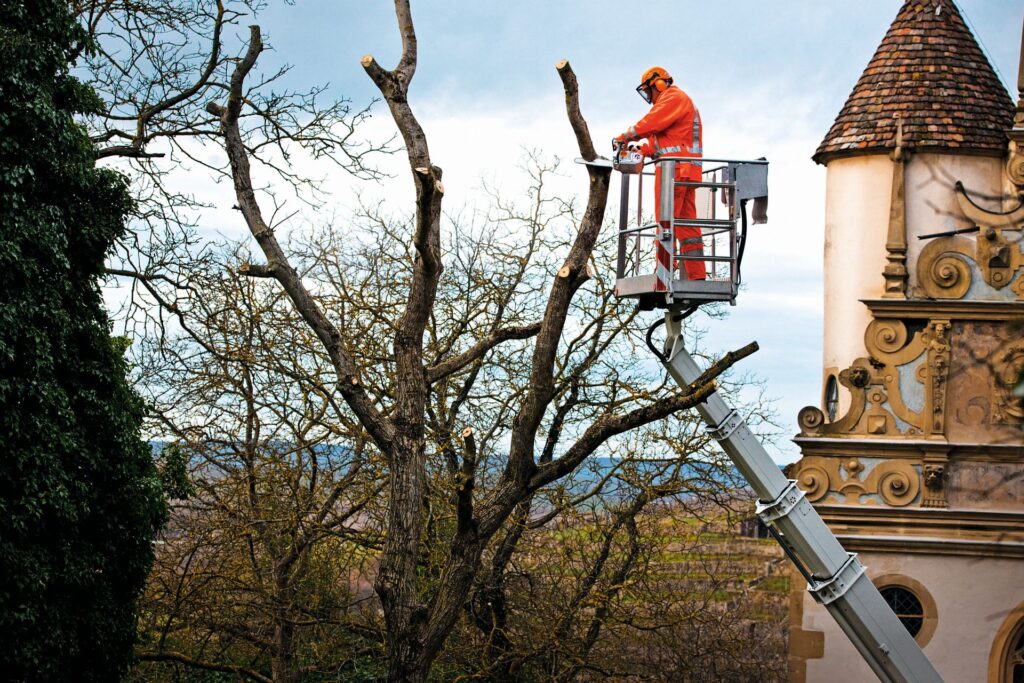 Stihl Ms Tc M Baumpfleges Ge Timbershop