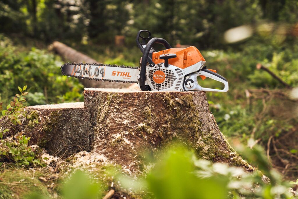 Timbershop
