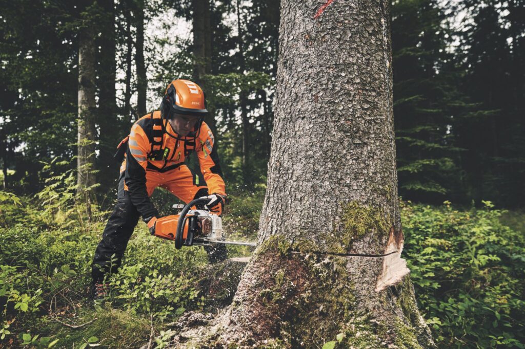 Timbershop