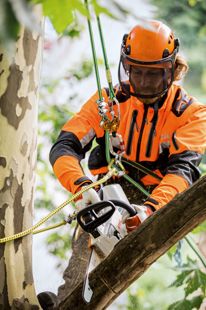 Timbershop