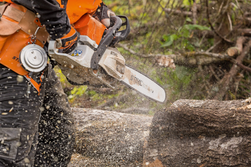 Timbershop