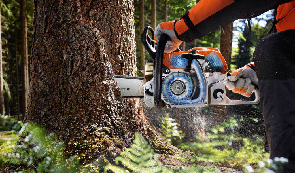Timbershop