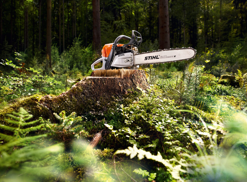 Timbershop