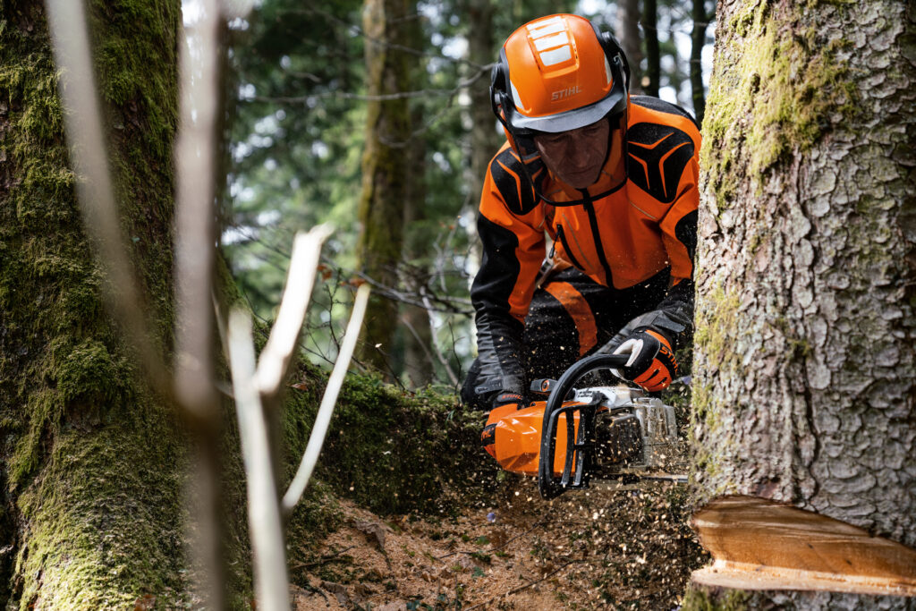 Timbershop